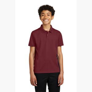 Youth Dry Zone ® UV Micro Mesh Polo Thumbnail