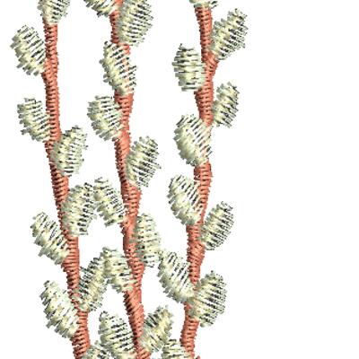 Decorative Thumbnail